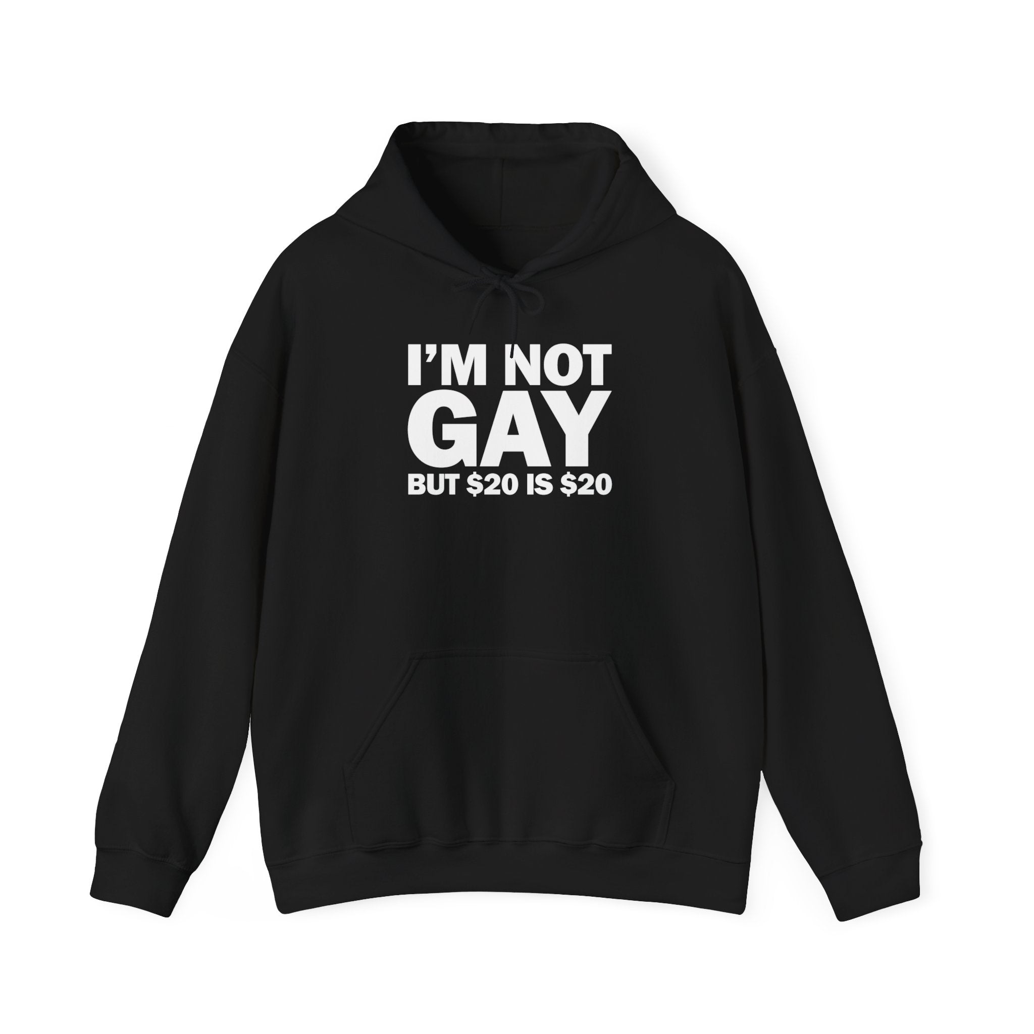 I'M NOT GAY BUT $20 IS $20 HOODIE