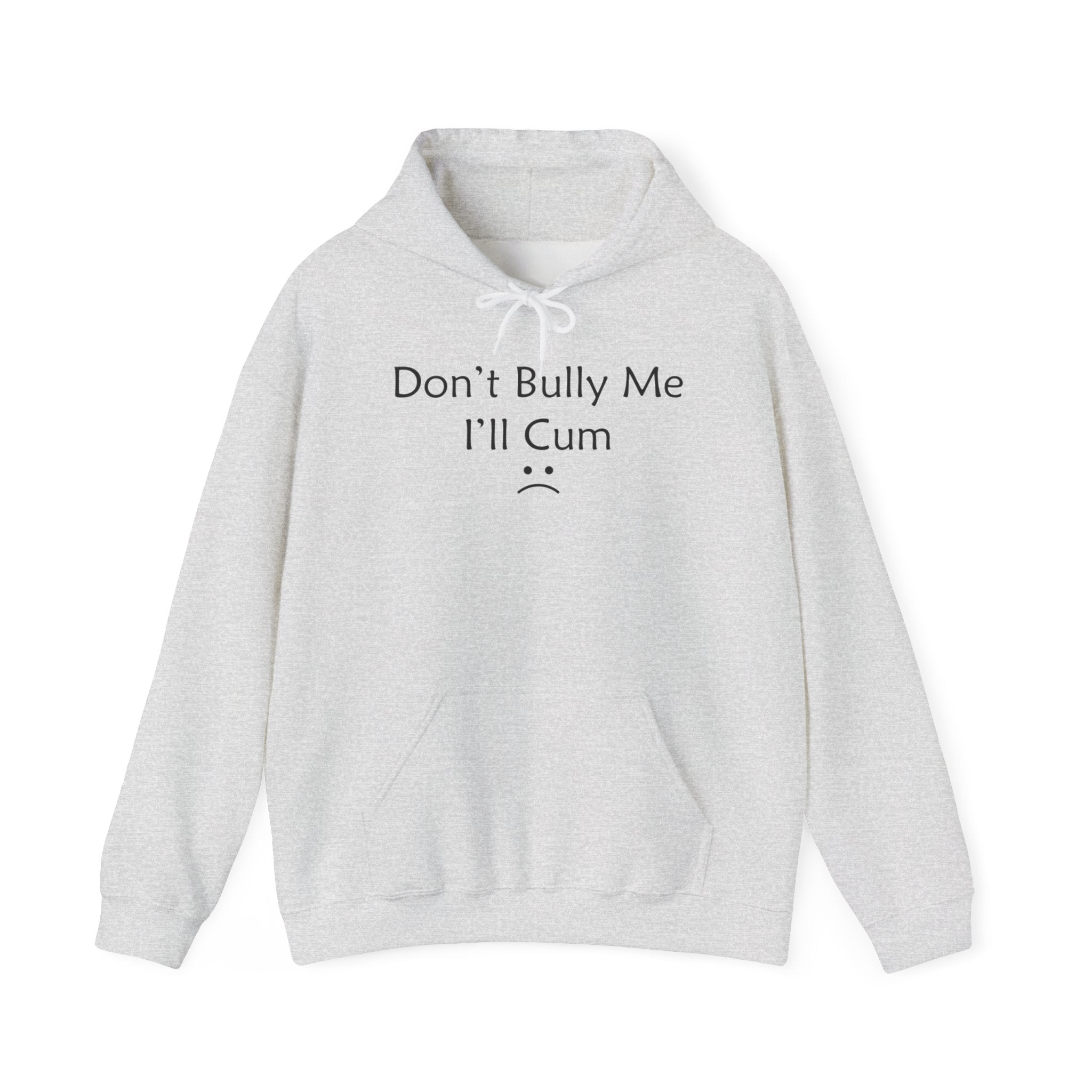 DON'T BULLY ME I'LL CUM HOODIE