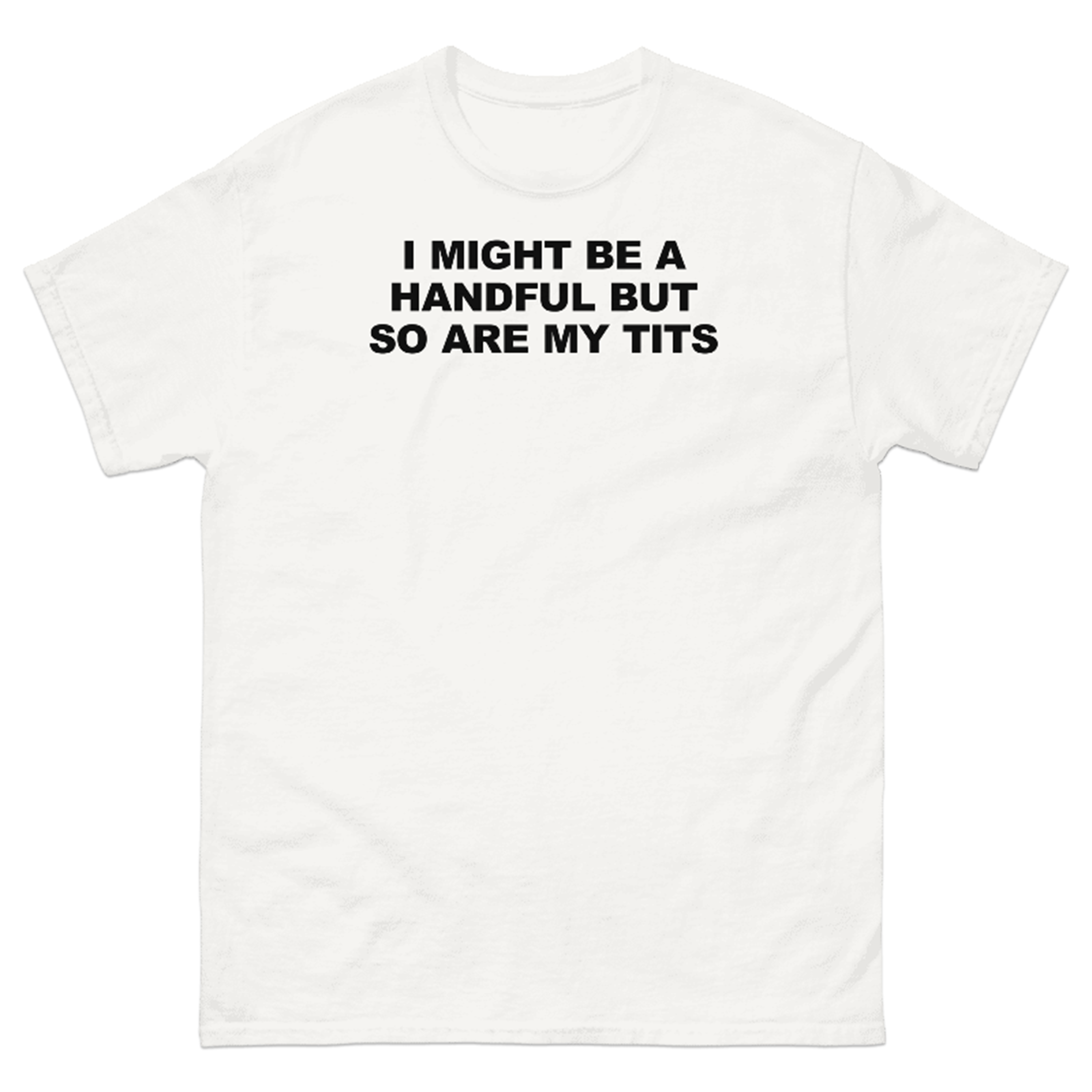 I MIGHT BE A HANDFUL BUT SO ARE MY TITS T-SHIRT